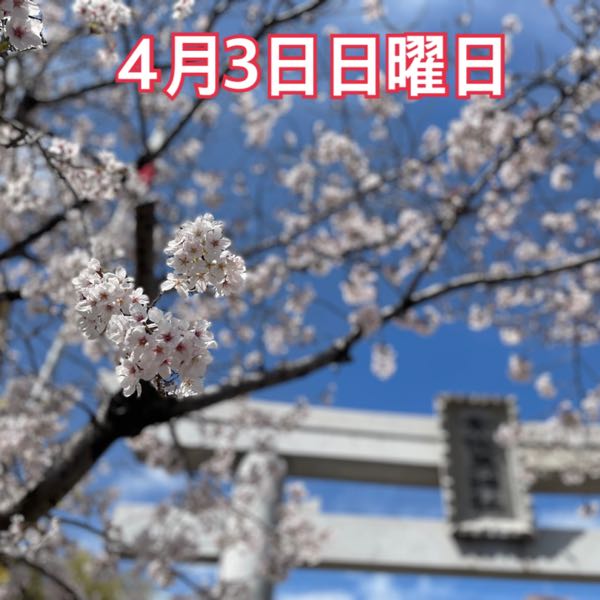 4月3日日曜日