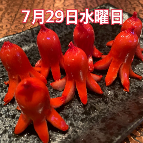 7月29日水曜日