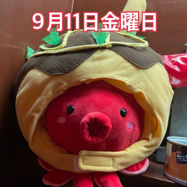 9月11日金曜日