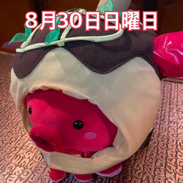 8月30日日曜日