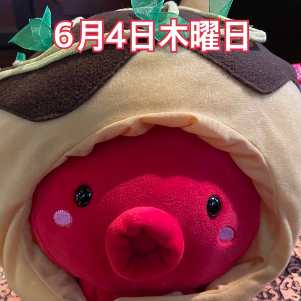 6月4日木曜日