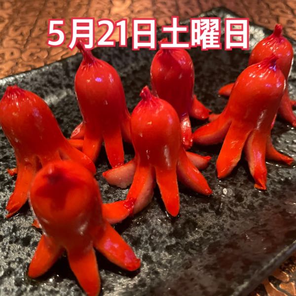 5月21日土曜日